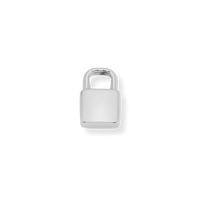 Latch & Lock Silver Charms
