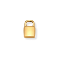 Latch & Lock Charms Gold
