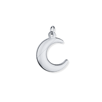 Latch & Lock Silver Charms