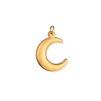 Latch & Lock Charms Gold