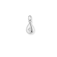Silver Charms