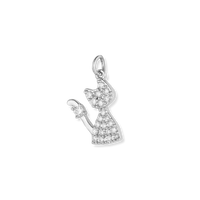 Silver Charms