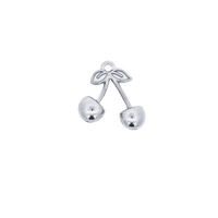 Latch & Lock Silver Charms