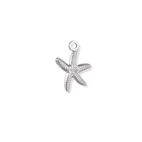Silver Charms