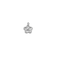 Silver Charms