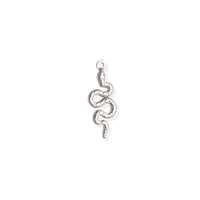 Silver Charms