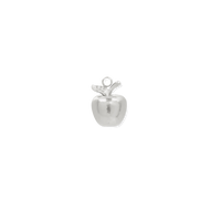 Silver Charms