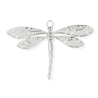 Silver Charms