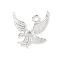 Silver Charms