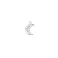 Silver Charms