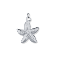 Latch & Lock Silver Charms