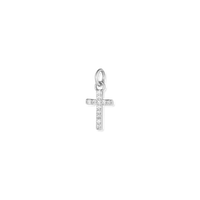 Silver Charms