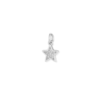 Silver Charms