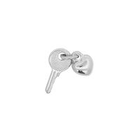 Latch & Lock Silver Charms