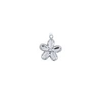 Latch & Lock Silver Charms