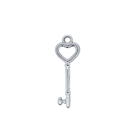 Latch & Lock Silver Charms