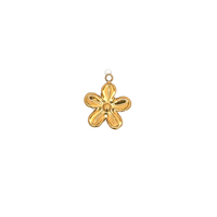 Latch & Lock Charms Gold