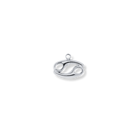 Latch & Lock Charms Silver Zodiac