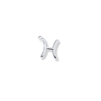 Latch & Lock Charms Silver Zodiac