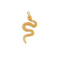 Latch & Lock Charms Gold