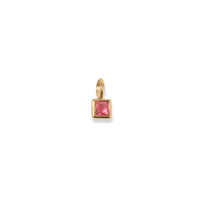 Birthstone Charms