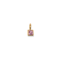 Birthstone Charms