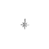 Silver Charms