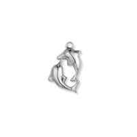 Silver Charms