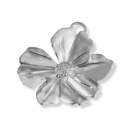 Silver Charms