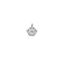 Silver Charms