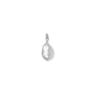 Silver Charms