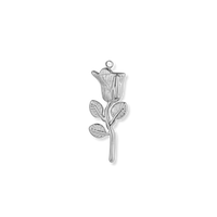 Silver Charms