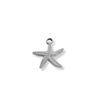 Silver Charms