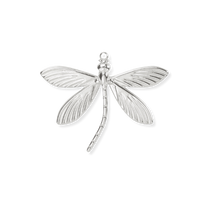 Silver Charms