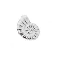 Silver Charms