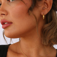 Theo Earrings in Gold