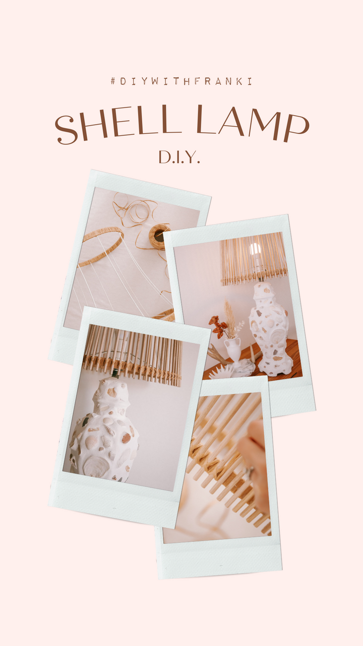 Let's Get Crafty with our D.I.Y. Shell Lamp! 🐚