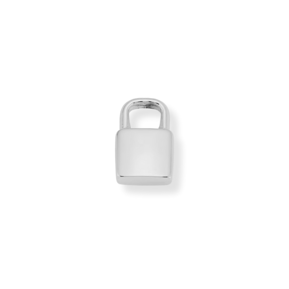 Latch & Lock Silver Charms
