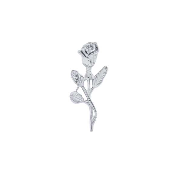Latch & Lock Silver Charms