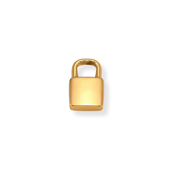 Latch & Lock Charms Gold