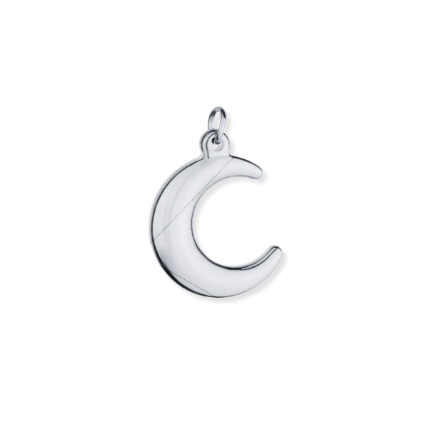 Latch & Lock Silver Charms