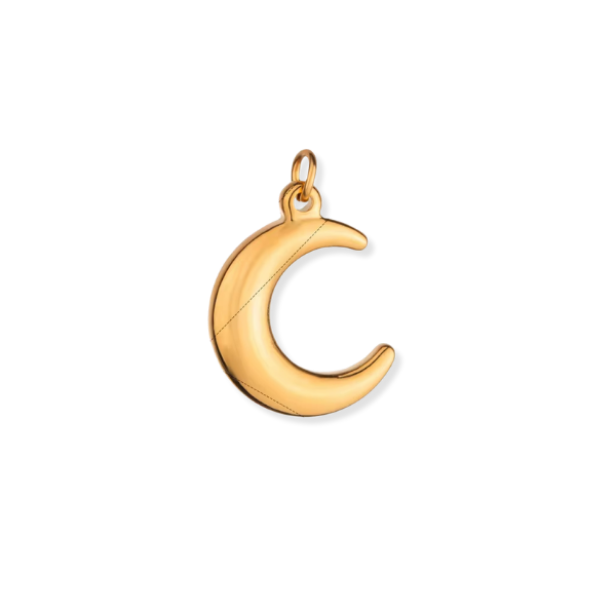 Latch & Lock Charms Gold