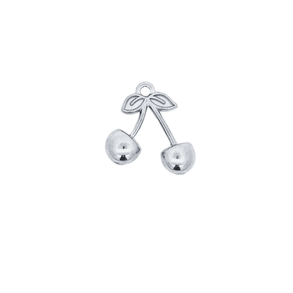 Latch & Lock Silver Charms
