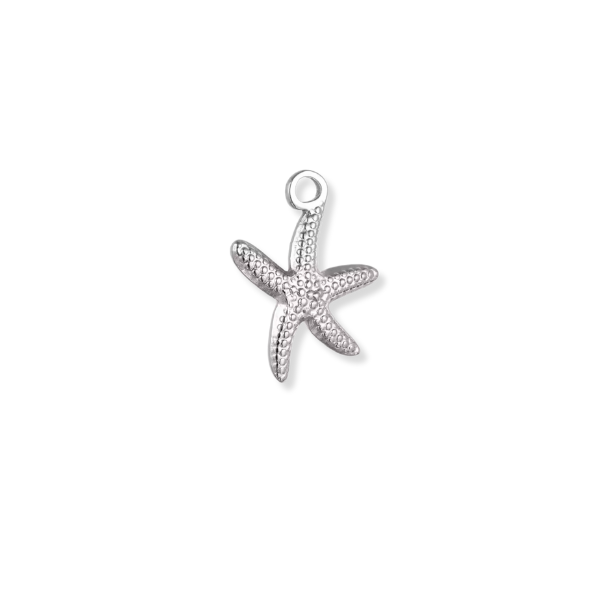Silver Charms
