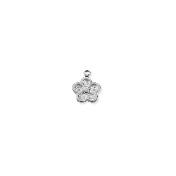 Silver Charms