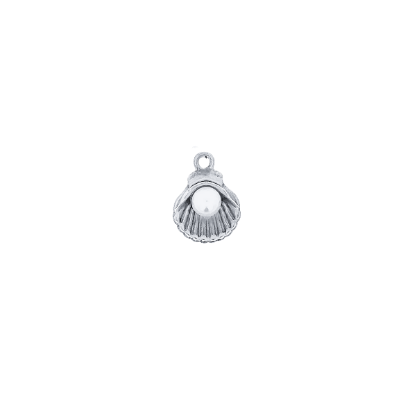 Latch & Lock Silver Charms