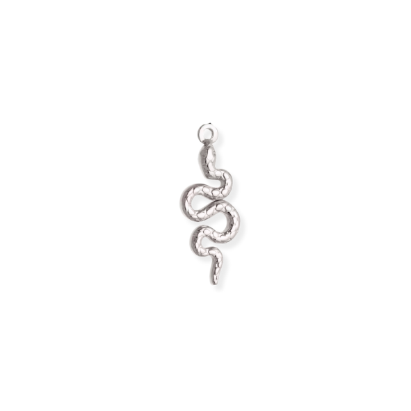 Silver Charms