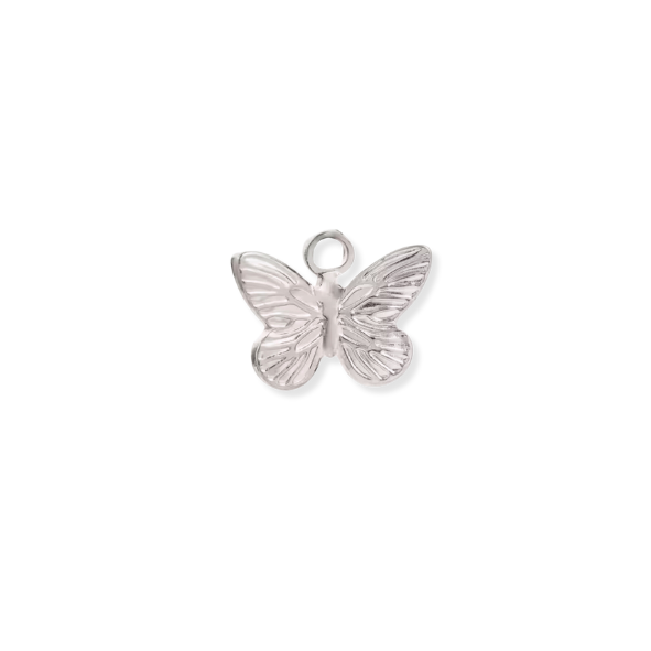 Silver Charms