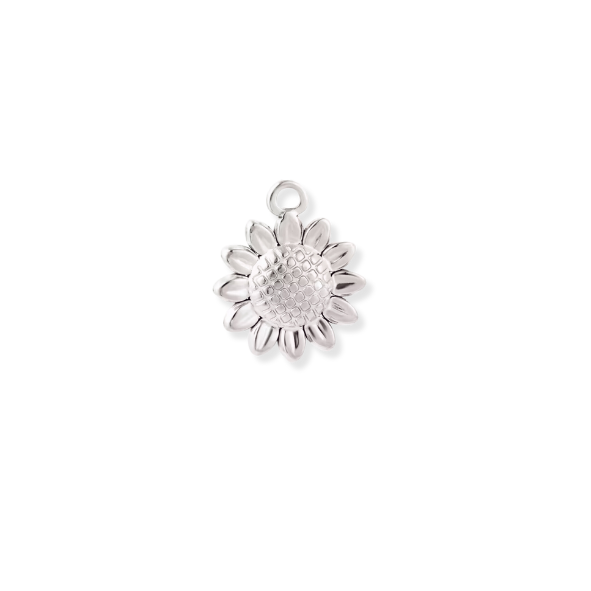 Silver Charms