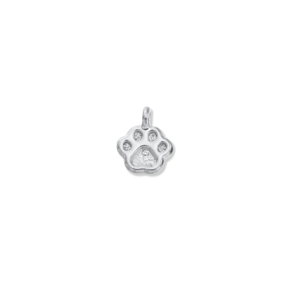 Latch & Lock Silver Charms